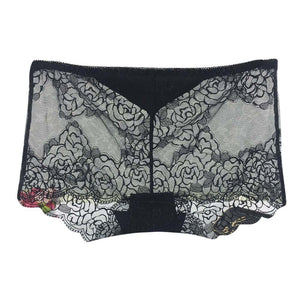 Women Underwear Lace and Mesh Tempting Sexy Lingerie