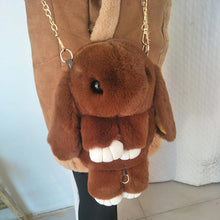 Load image into Gallery viewer, Rabbit Wool Small Crossbody Bag for Women Children