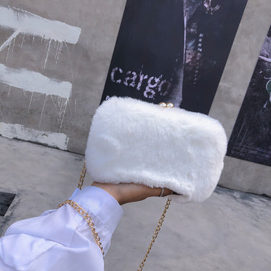 Faux Fur twin top clasp Women Hairy Crossbody Bag