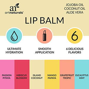Amazon.com : ArtNaturals Natural Lip Balm Beeswax - (6 x .15 Oz / 4.25g) - Gift Set of Assorted Flavors - Chapstick for Dry, Chapped & Cracked lips - Lip Repair with Aloe Vera, Coconut, Castor & Jojoba Oil : Beauty